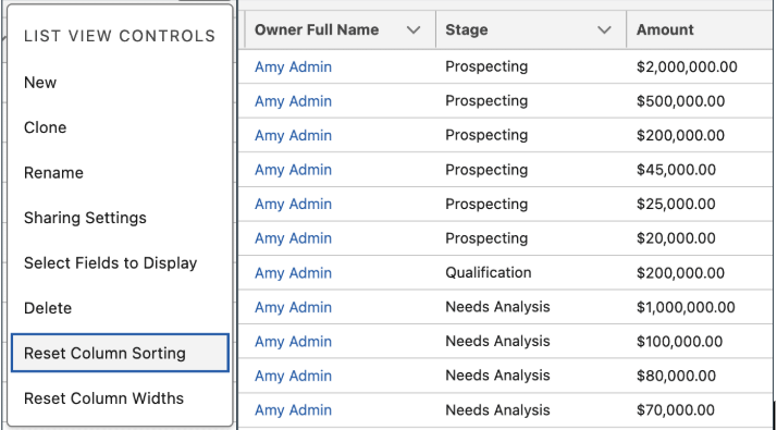 Salesforce’s Multi-Column Sorting helps you manage data efficiently and streamline your workflow